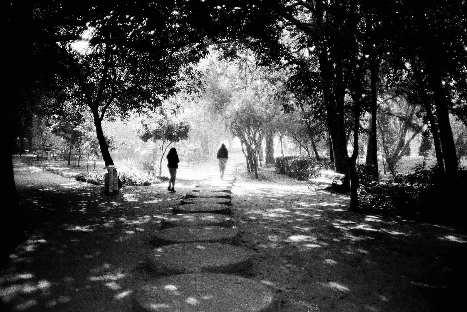 Two people walking together down a tree-lined path in Lodi Gardens