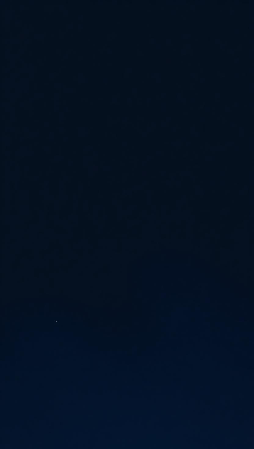 A single shooting star crossing a still sky